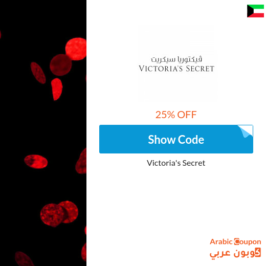 Victoria's Secret promo code 2025 - NEW