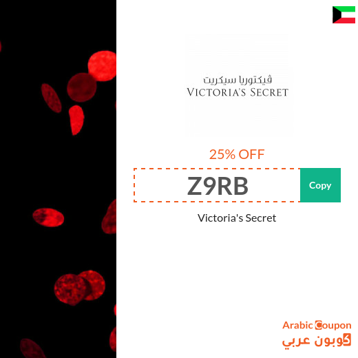 Victoria's Secret promo code 2025 - NEW